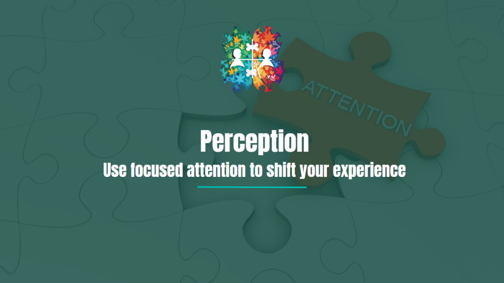 Blog tumbnail - The importance of focused attention.