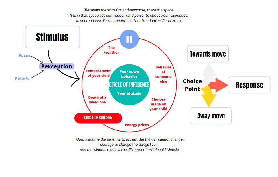 Illustration of the space between stimulus and response is where your freedom lies. Concentrate on your circle of influence and use the Serenity Prayer.