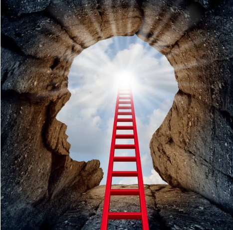 Illustration of 'Begin with the End in Mind', ensure your ladder is leaning against the right wall. Image of a ladder leading to the brain.