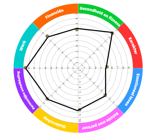 Een afbeelding van het levenswiel waarop de scores zijn aangebracht.