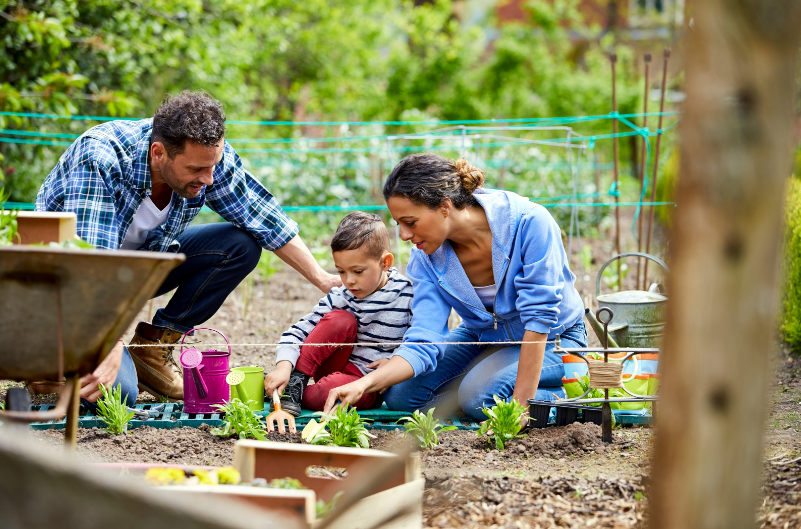 Afbeelding van een ouder en kind die voor een tuin zorgen, die het concept vertegenwoordigt van het focussen op beheersbare acties in ouderschap - proactief - dichotomie van controle.