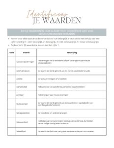Afbeelding van worksheet: identificeer je waarden.