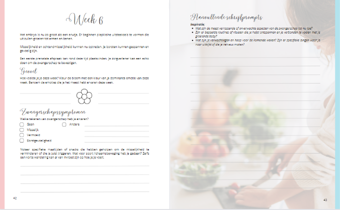 Voorbeeldpagina van het zwangerschapsdagboek
