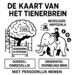 Tienerbrein in verbouwing